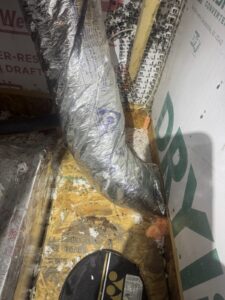 Rodent droppings across attic decking beside a flexible duct run, with insulation pulled loose — what the homeowner first noticed.